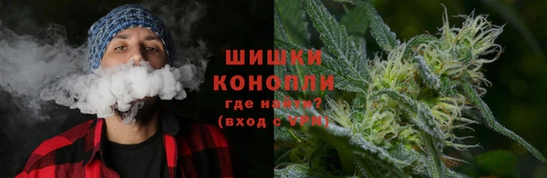 PSILOCYBIN Белоозёрский