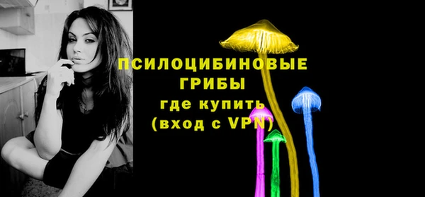 кокс Белокуриха