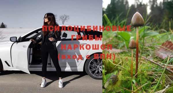 кокс Белокуриха