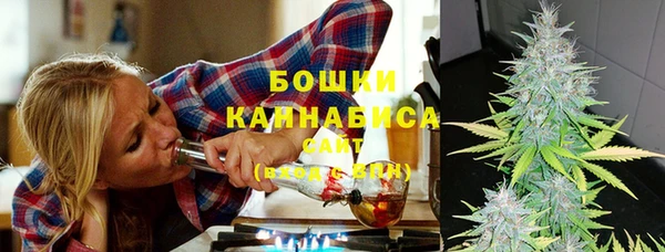 кокс Белокуриха
