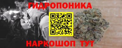 гидра Старая Купавна