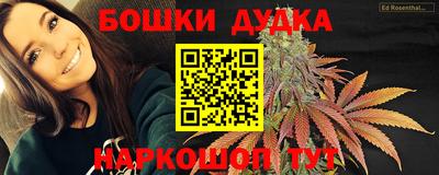бошки Ставрополь