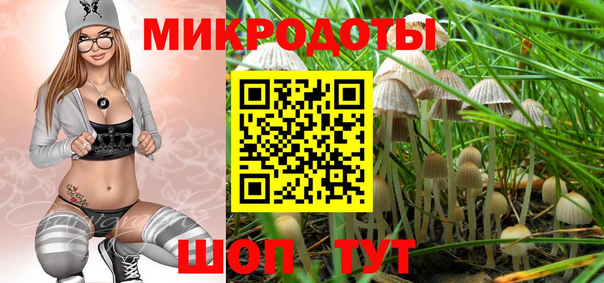 Псилоцибиновые грибы GOLDEN TEACHER Обь