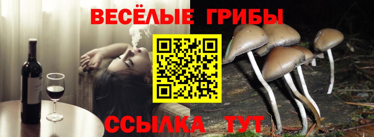 закладка  Вход с VPN  Обь  Галлюциногенные грибы Cubensis 