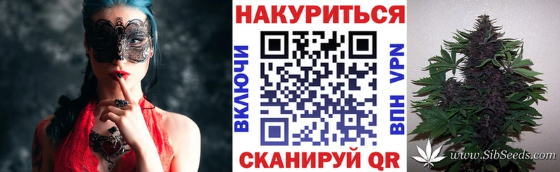 Каннабис сатива  наркота  Обь 